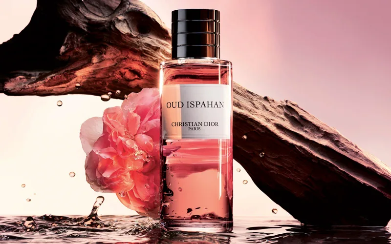 Dior Beauty Quest for the Dior Star · visual 2